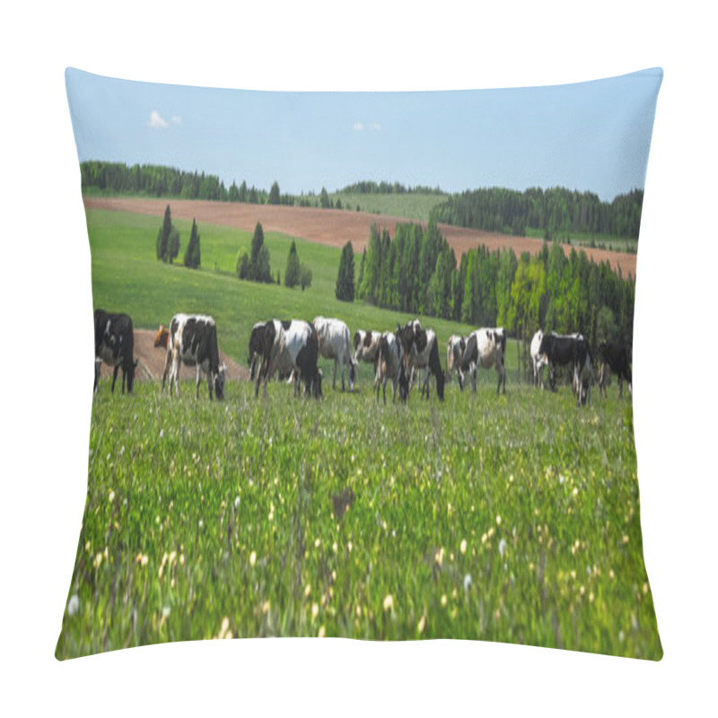 Personality  Cows Grazing On The Meadow  Pillow Covers