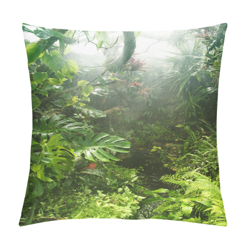 Personality  Tropical Rainforest Pillow Covers