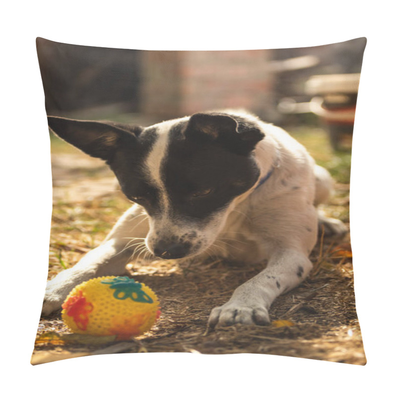 Personality  Jack Russell Terrier Puppy 11 Weeks In The Grass Discovers The World Pillow Covers