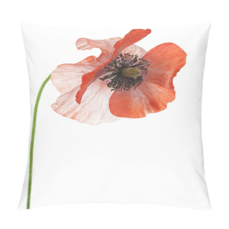 Personality  Poppy Pillow Covers