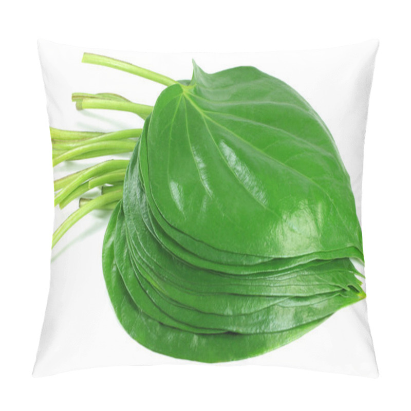 Personality  Popular Edible Betel Leaf Of Indian Subcontinent Pillow Covers