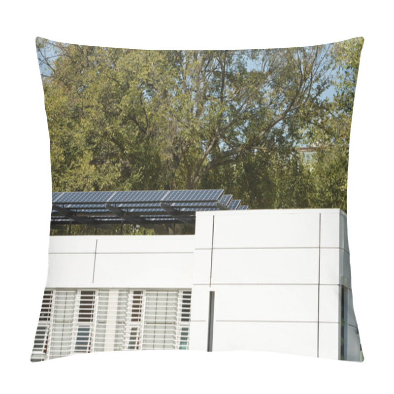 Personality  Modern Solar Home With Row PV Panels On Roof Pillow Covers