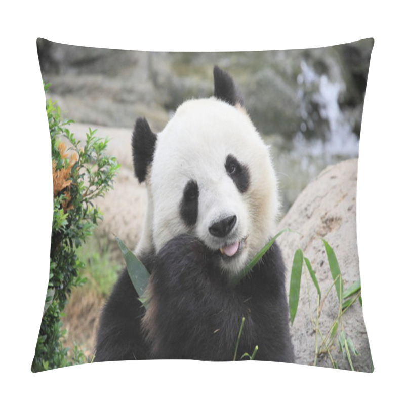 Personality  Beautiful Panda Pillow Covers