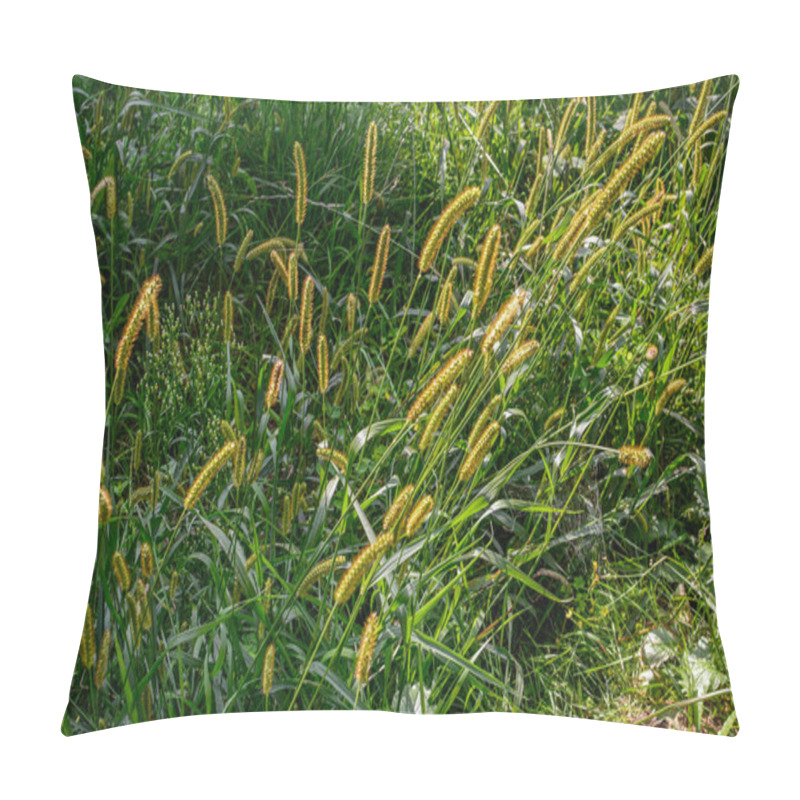 Personality  Setaria Viridis On The Road . Pillow Covers