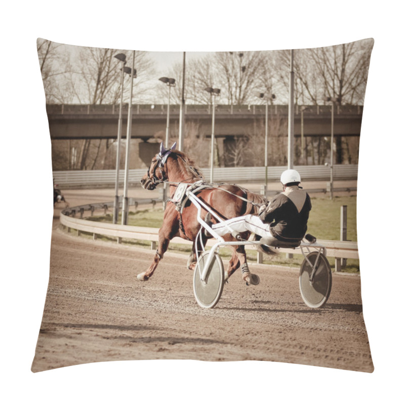 Personality  Harness Racing Horse Pillow Covers