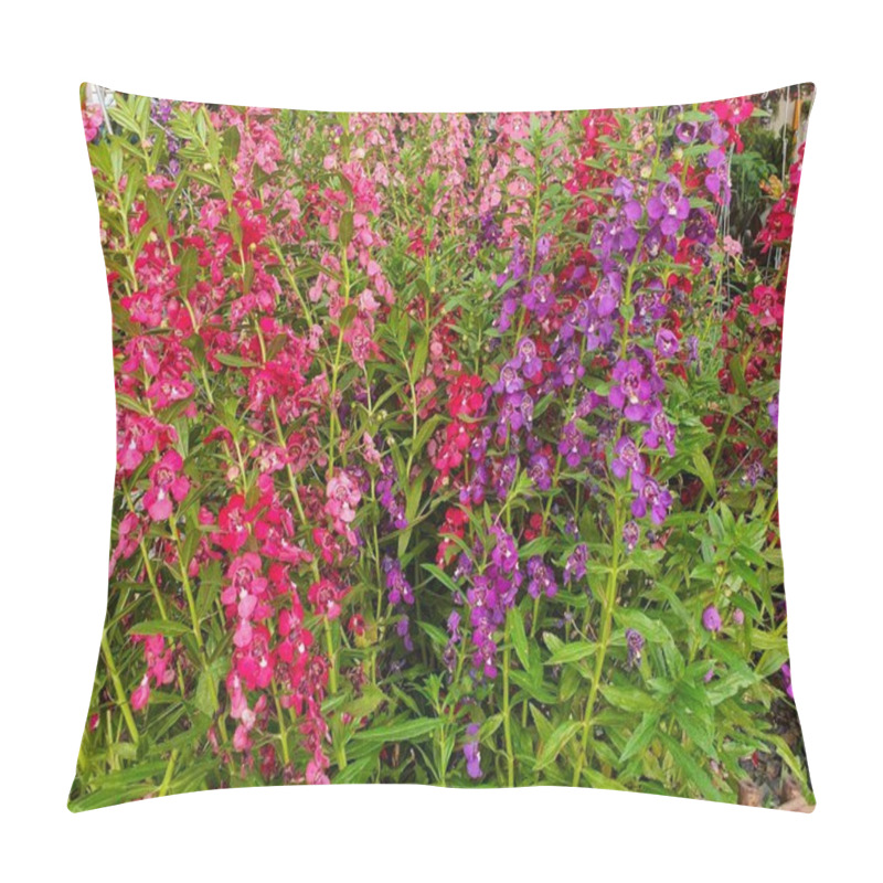 Personality  Angelonia Or Angelonia Goyazensis Benth Flowers In Succession On The Stem Or Leaf Axil. Often Bloom At The Same Timeall The Way To The Top And Bloom All Year Round There Are Many Beautiful Colors. Pillow Covers