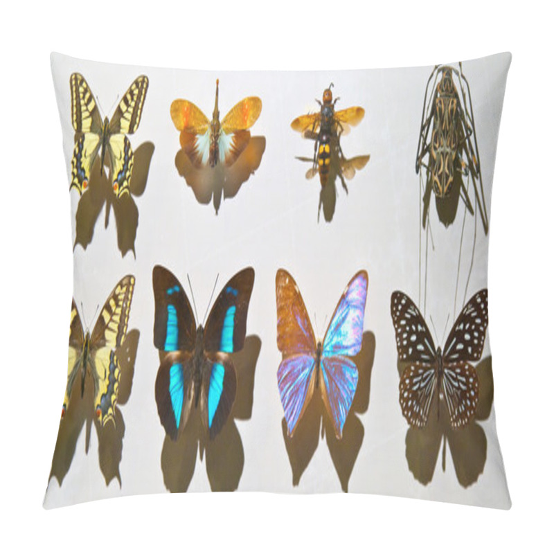 Personality  Butterfly Pillow Covers