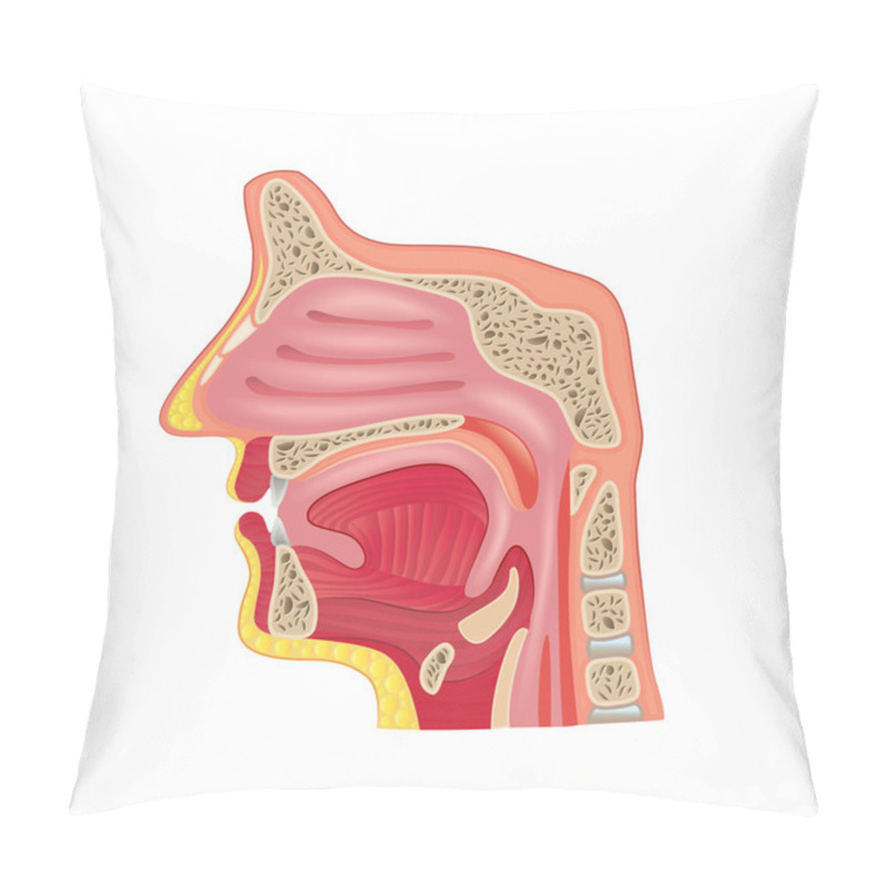 Personality  Nose Anatomy Isolated On White Vector Pillow Covers