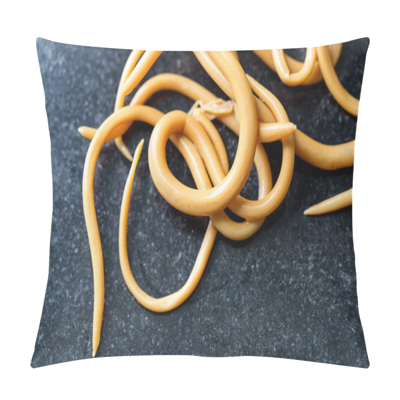 Personality  Ascariasis Is A Disease Caused By The Parasitic Roundworm Ascaris Lumbricoides For Education In Laboratories. Pillow Covers