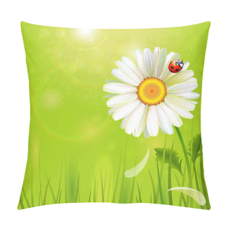 Personality  One Big Realistic Camomile Pillow Covers