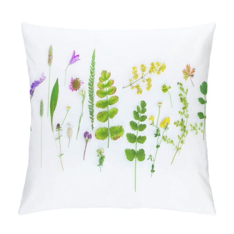 Personality  Natural Composition. Plants On White Background Pillow Covers