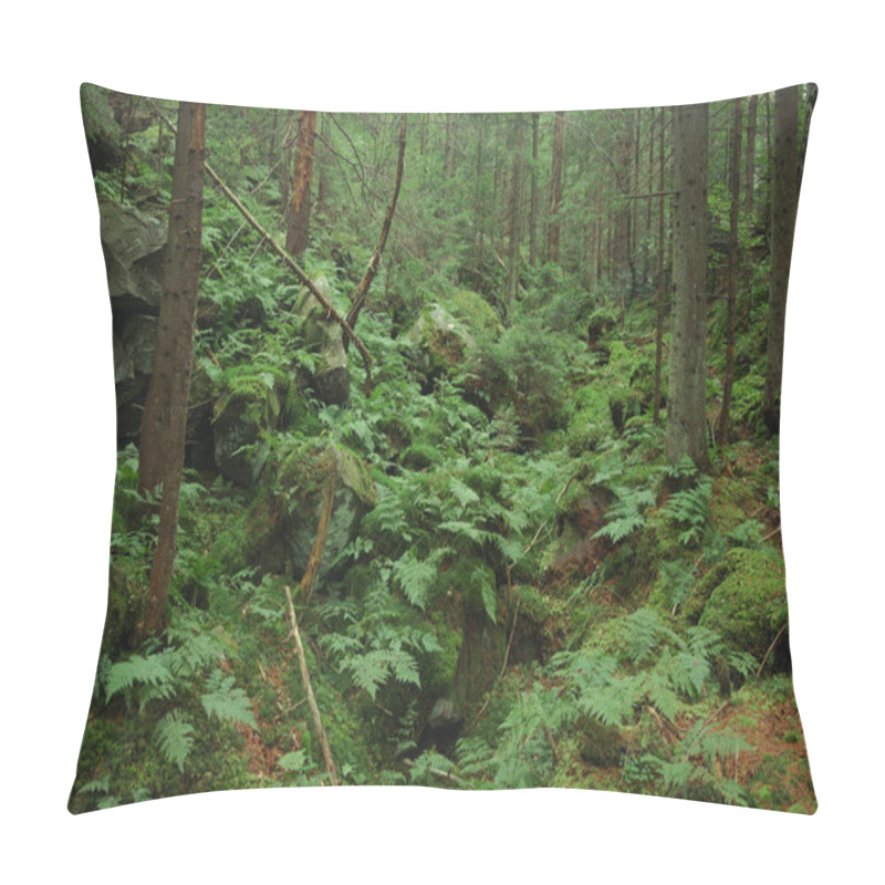 Personality  Picturesque Deep Vivid Green Highland Mountain Forest Scenic Landscape Natural Environment Without People Pillow Covers