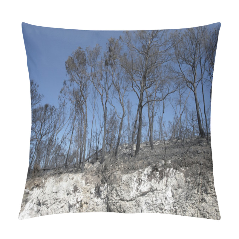 Personality  Burned Forest And Scarp Pillow Covers