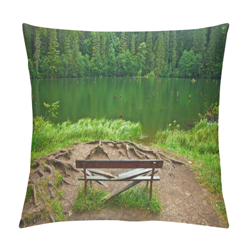 Personality  Red Lake In Transylvania Pillow Covers