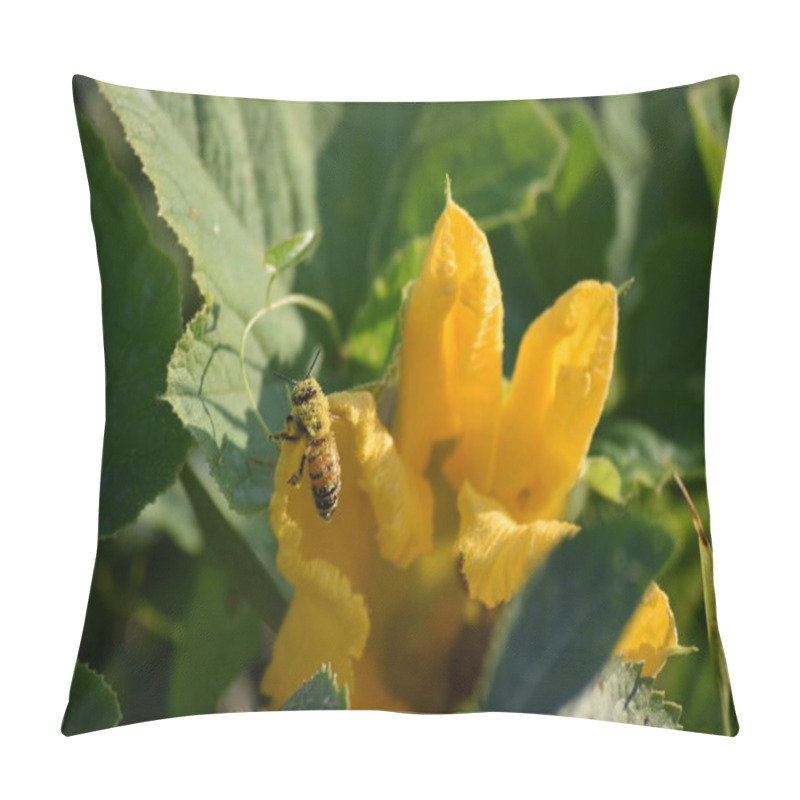 Personality  Wool Bee Is Fighting By Pollen Pillow Covers