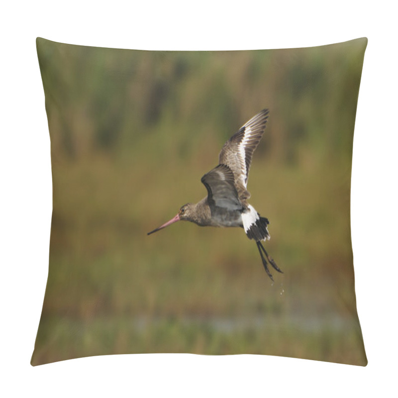 Personality  Godwit In Flight Pillow Covers