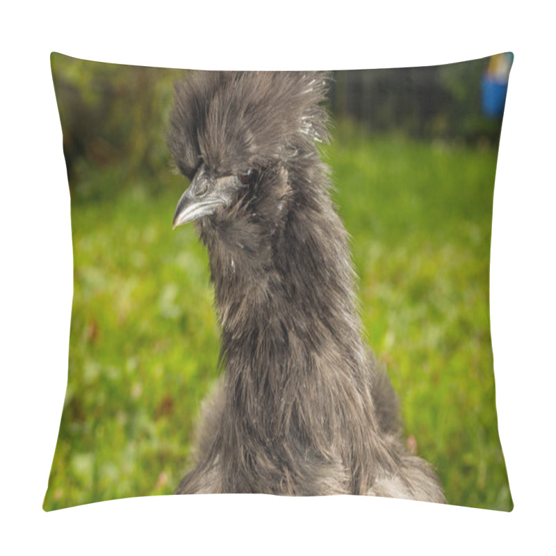 Personality  Blue Silkie Chicken Pillow Covers