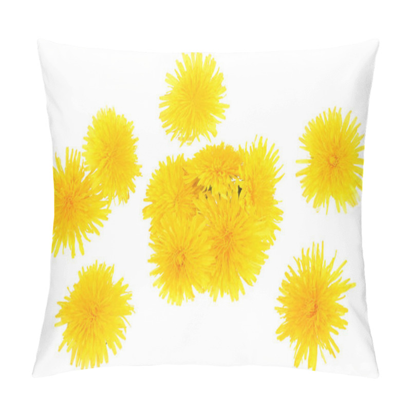 Personality  The Leaves And Flowers Of Dandelion Isolated On White Background Pillow Covers