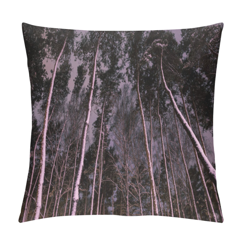 Personality  Bottom View Of Trees With Snow In Forest In Evening Pillow Covers