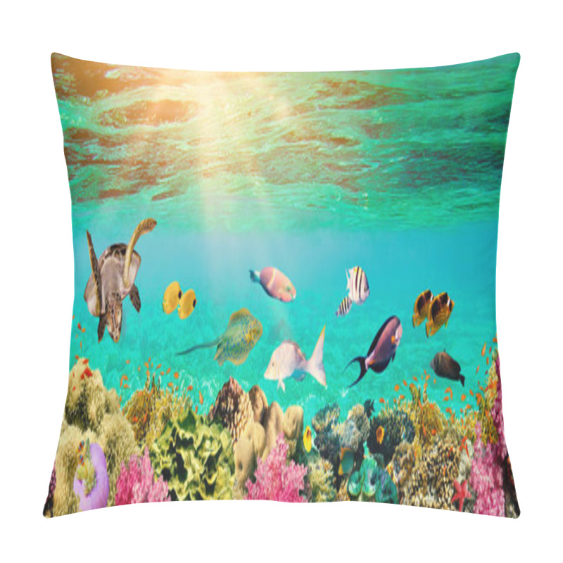 Personality  Underwater Paradise Background - Coral Reef Wildlife Nature Collage With Sea Turtle And Colorful Fish Background Pillow Covers