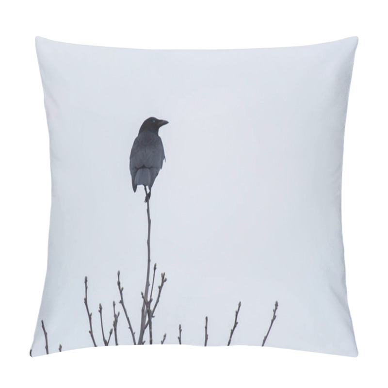 Personality  Crow Perched On Branch On Top Of Bare Tree. Pillow Covers