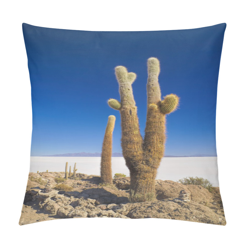 Personality  Cactus By Slat Planes Pillow Covers