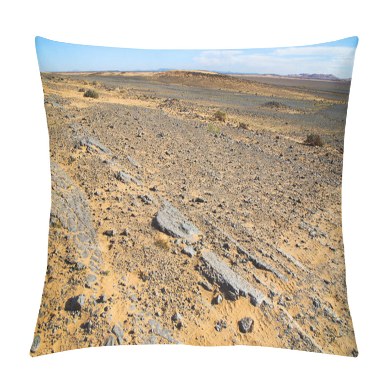 Personality   Old Fossil In  The Desert Of  Stone Sky Pillow Covers