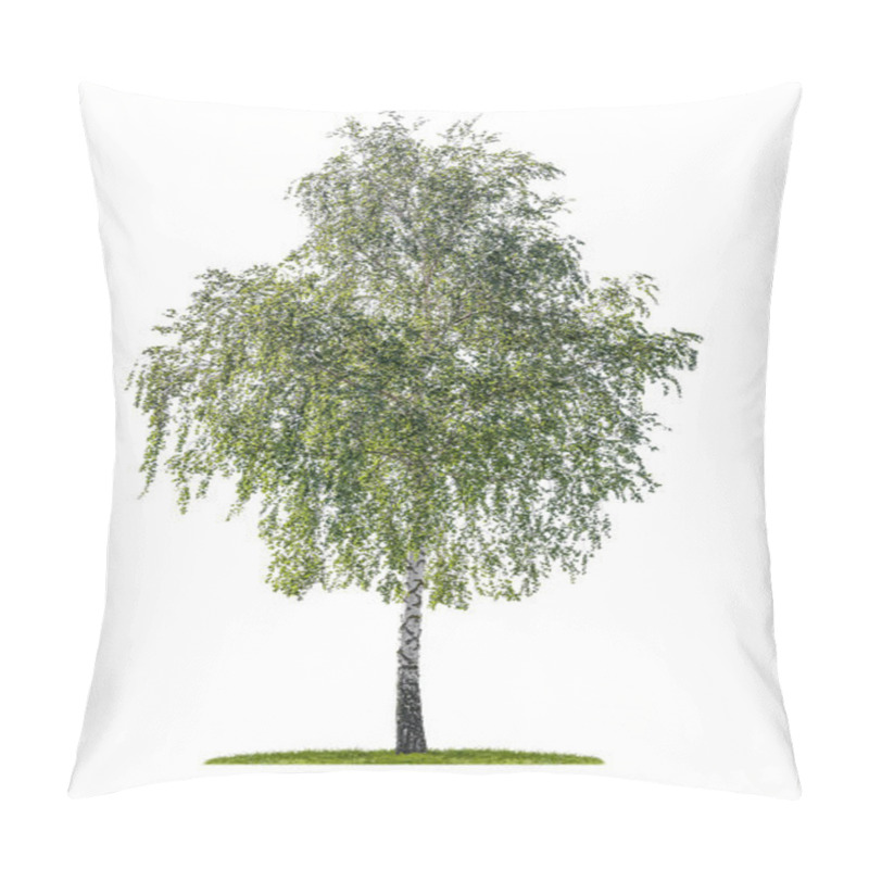 Personality  Isolated Silver Birch On A White Background Pillow Covers