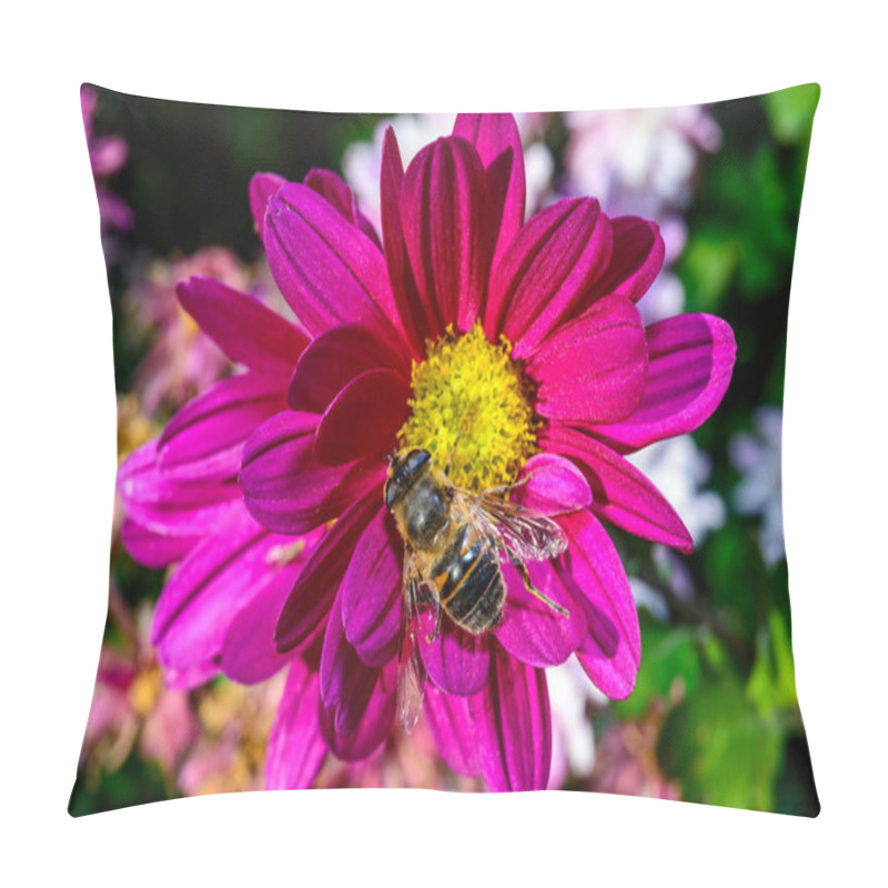 Personality  Batman Hoverfly - Myathropa Florea,  Flower Fly Hoverfly Collects Nectar On Autumn Flowers Chrysanthemum  Pillow Covers