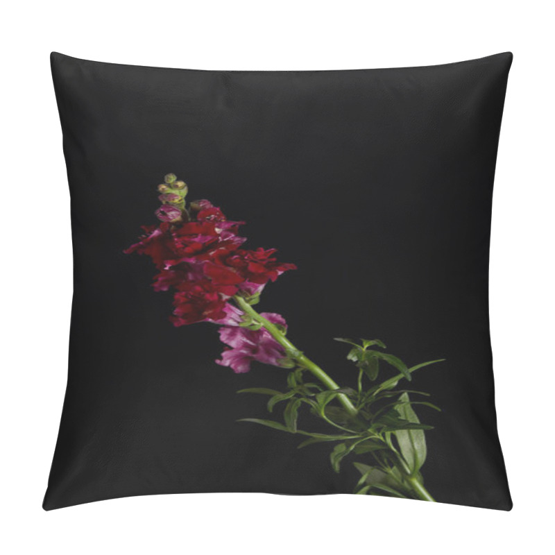 Personality  Beautiful Maroon Flowers On Green Stem With Leaves Isolated On Black  Pillow Covers