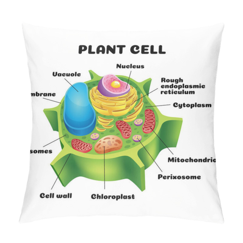 Personality  Vector Illustration Of The Plant Cell Anatomy Structure. Educational Infographic. Pillow Covers