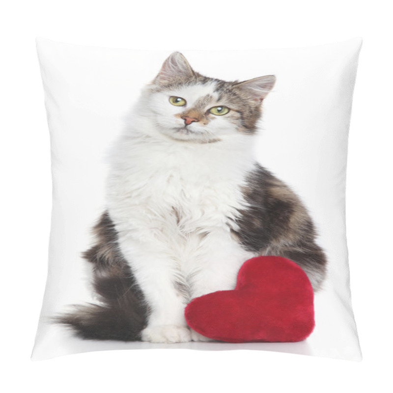 Personality  Domestic Cat With Red Valentine Heart Pillow Covers