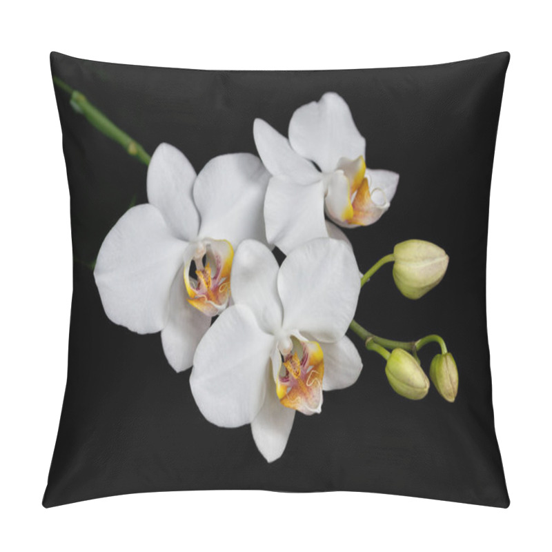 Personality  Moth Orchid On Black Pillow Covers