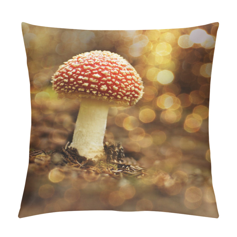 Personality  Mushroom In The Forest In Sunset Pillow Covers