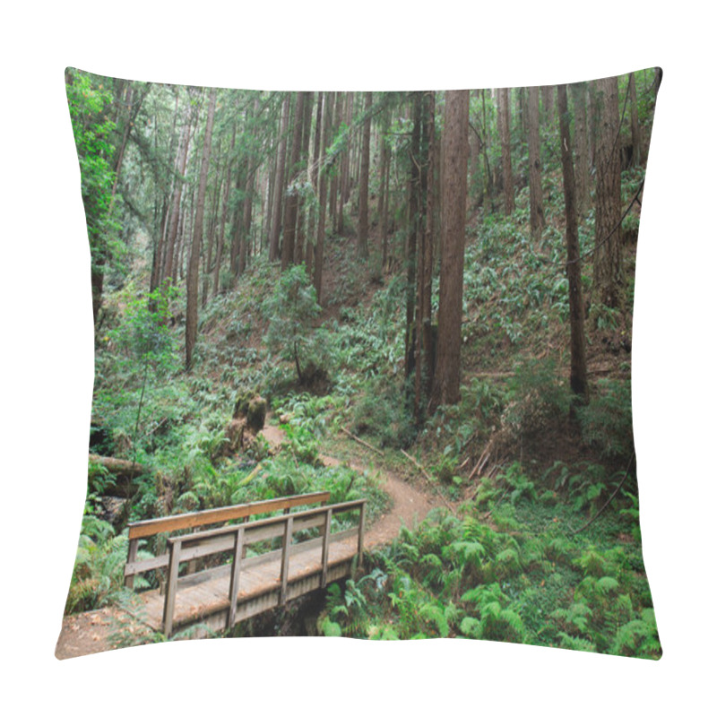 Personality  Bridge To Redwood Forest Pillow Covers