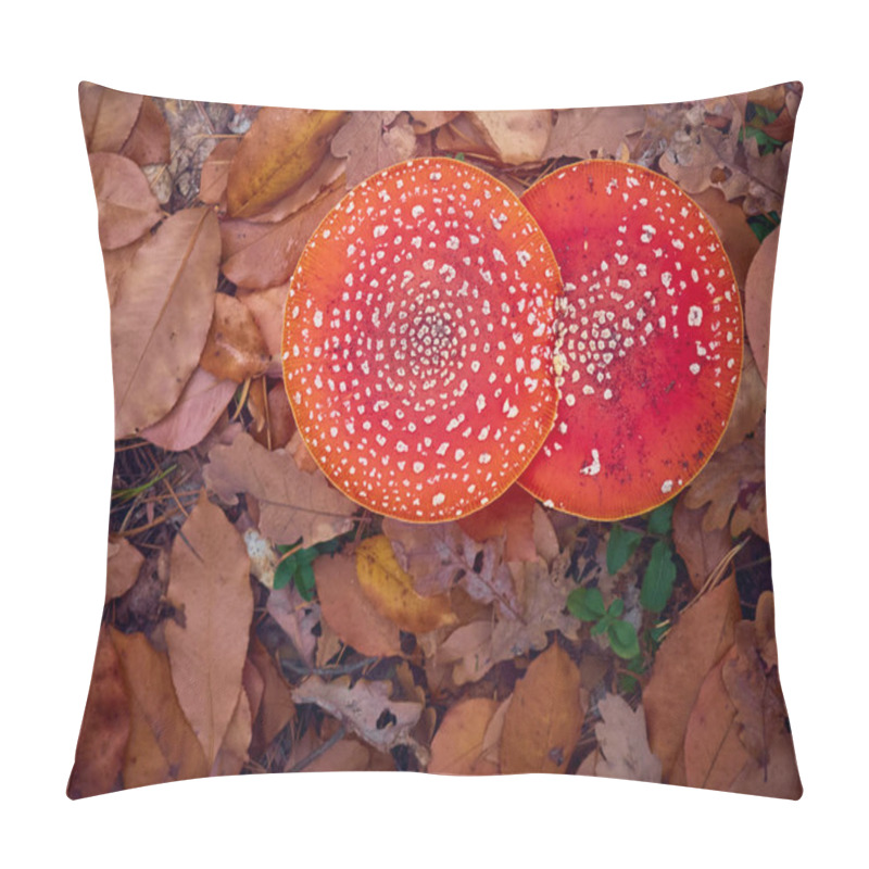 Personality  Fly Agaric In The Autumn Forest. Pillow Covers