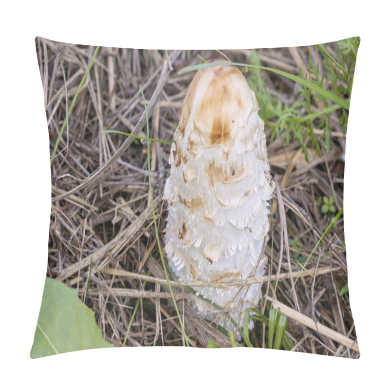 Personality  Close Up Of One Mushroom In Forest Meadow Coprinus Comatus Shaggy Ink Cap Lawyer's Wig Or Shaggy Mane Side View Pillow Covers