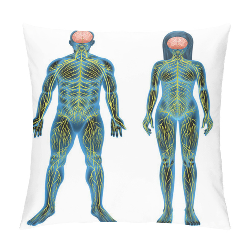 Personality  Human Nervous System Pillow Covers