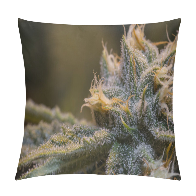 Personality  Marijuana Plant Pillow Covers