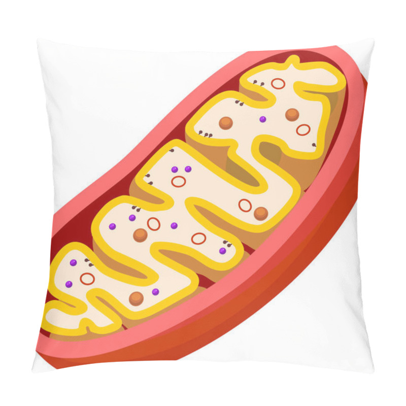 Personality   Structure Of Mitochondrion Isolated On White Background Pillow Covers