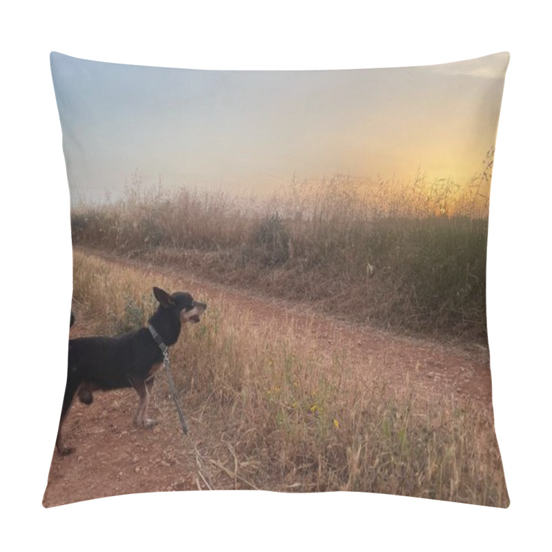 Personality  A Small Dog Stands On The Avgorou Trail In Cyprus, Surrounded By Golden Fields Under A Glowing Sunset. The Tranquil Countryside Offers A Perfect Blend Of Nature, Serenity, And Warmth. Pillow Covers