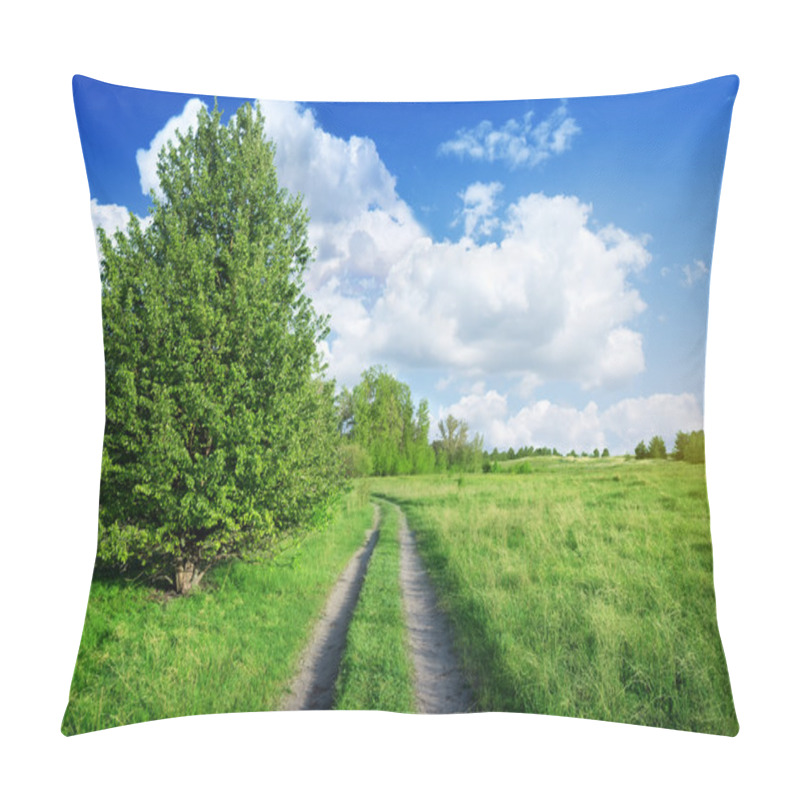 Personality  Road Into The Spring Field Pillow Covers