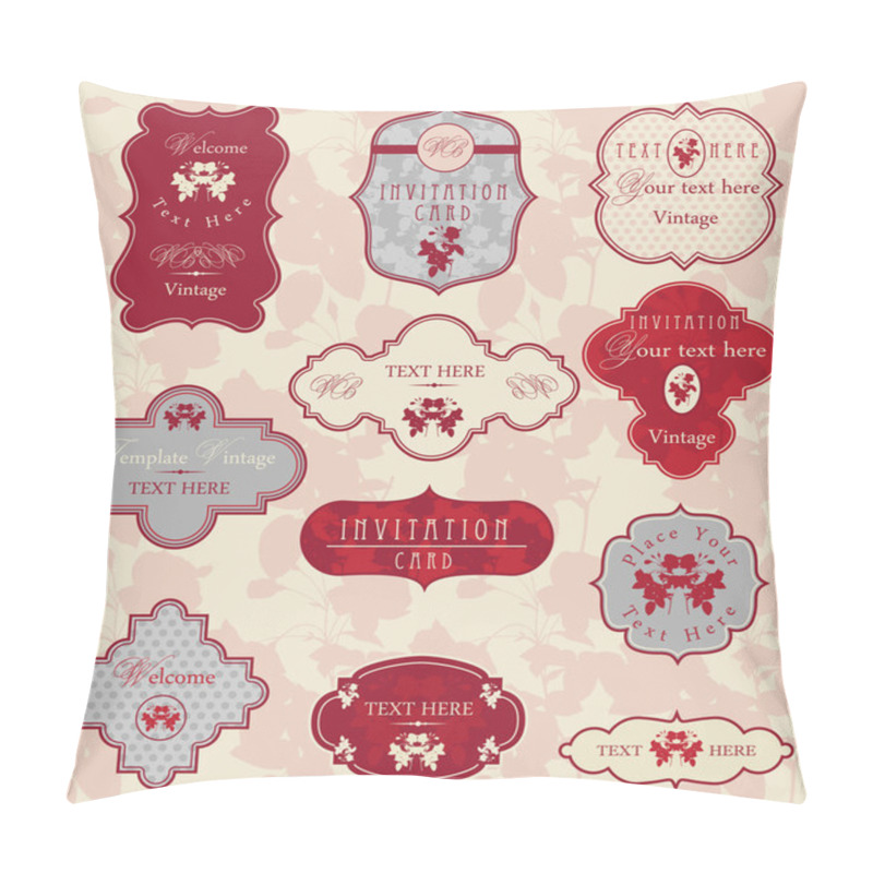 Personality  Ornate Vector Frames Pillow Covers