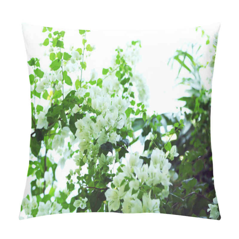 Personality  White Flowers And Green Leaves, Closeup Pillow Covers