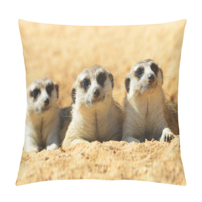 Personality   Cute Meerkat ( Suricata Suricatta ) Pillow Covers