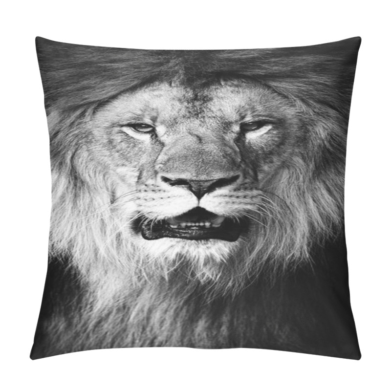 Personality  Lion Pillow Covers