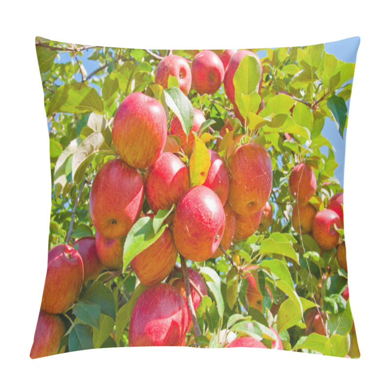 Personality  Apple Tree Pillow Covers