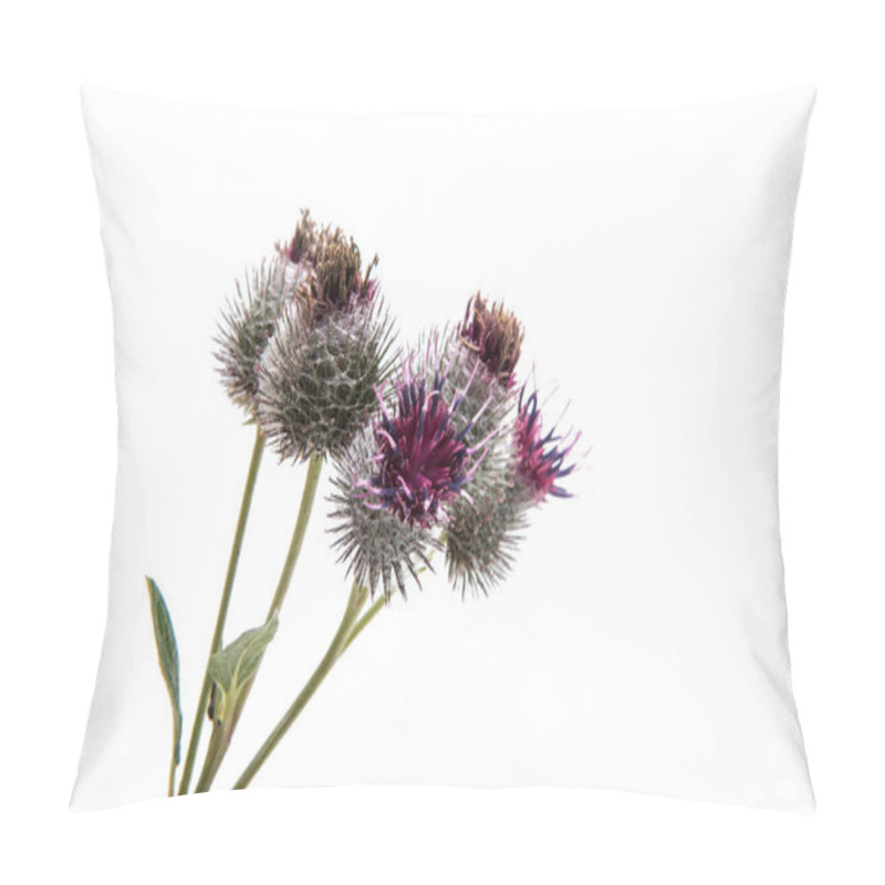 Personality  Burdock Blooming Flower Pillow Covers