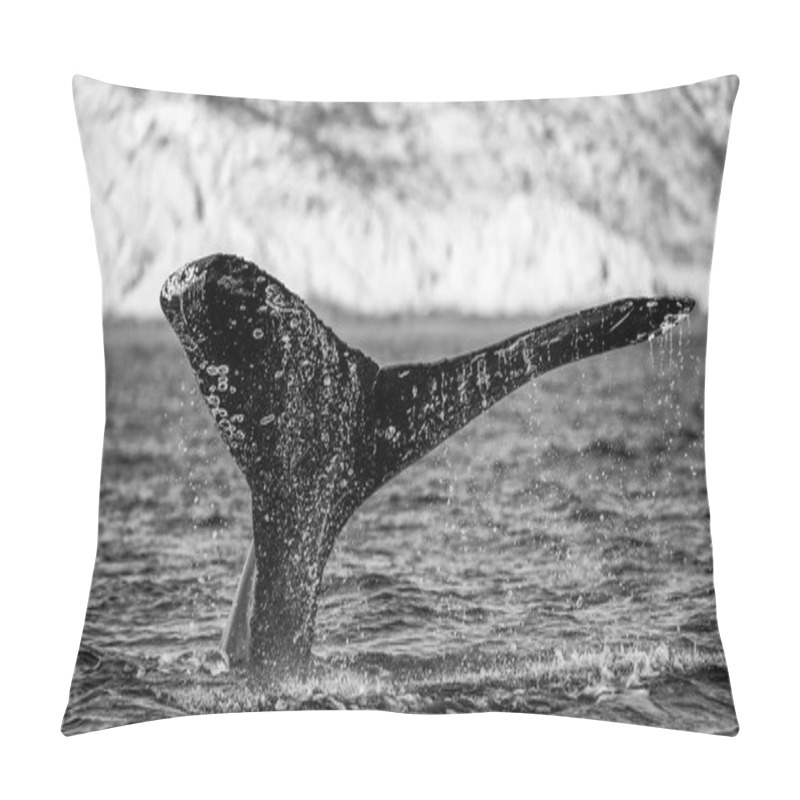 Personality  Tail Of Humpback Whale Pillow Covers