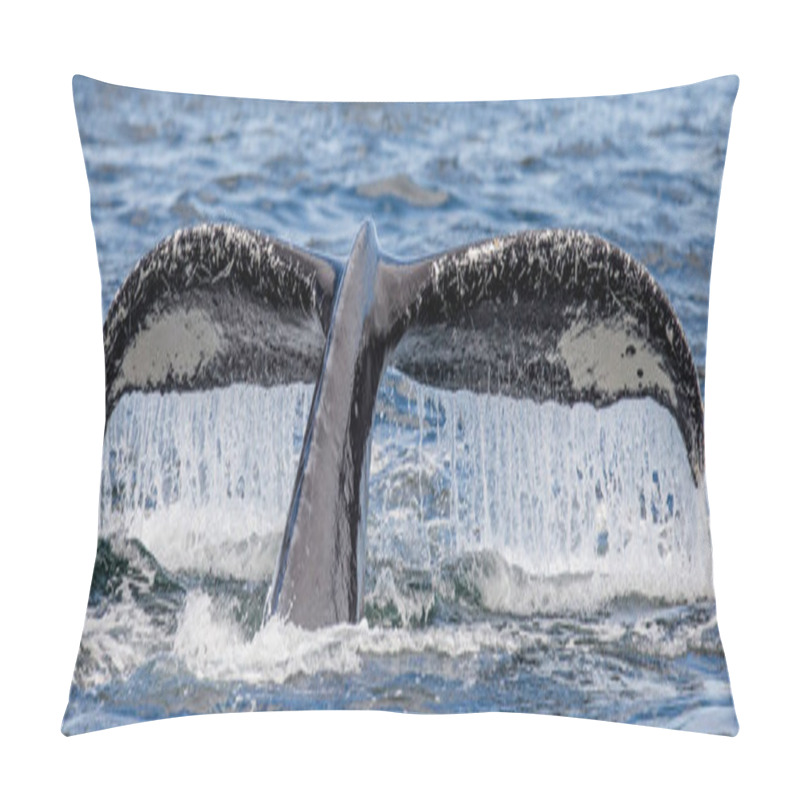 Personality  Tail Of Humpback Whale Pillow Covers